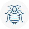Bed Bug Extermination In Se2