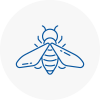 Bee Nest Removal Se2