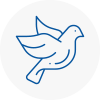 Bird Prevention Se2