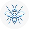 Se2 Hornet Nest Removals
