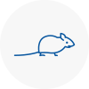 Mice Exterminators In Se2