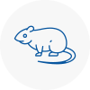 Rat Control Se2