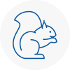 Se2 Rodent Removals
