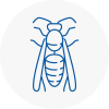 Se2 Wasp Nest Removal